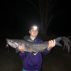 Meet your Posher, Jon